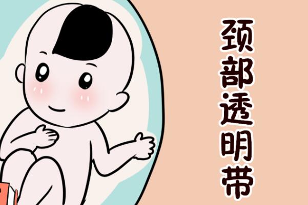 孕12周NT尾巴没翘就一定是女孩这种说法对吗？