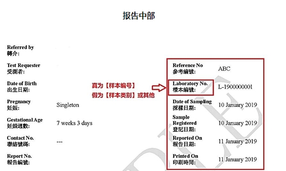 真的验血报告有编号