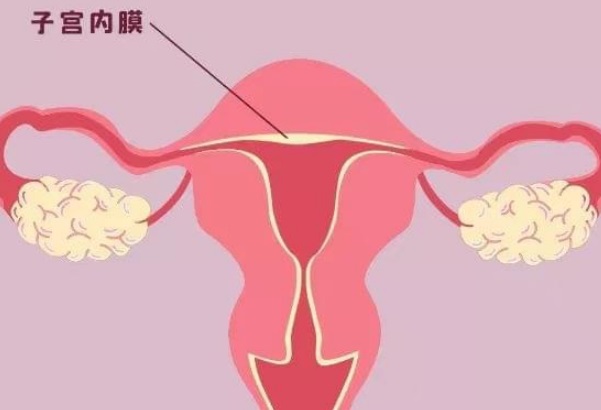 内膜7.5mm移植囊胚能成功着床吗？