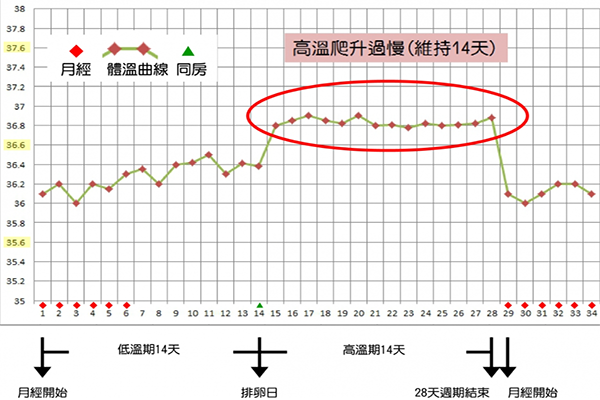 排卵当天基础体温会升高