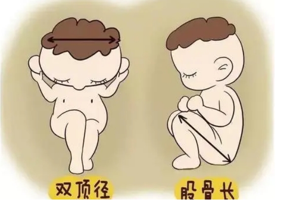 孕12周双顶径22mm怀的是一个男孩还是女孩？