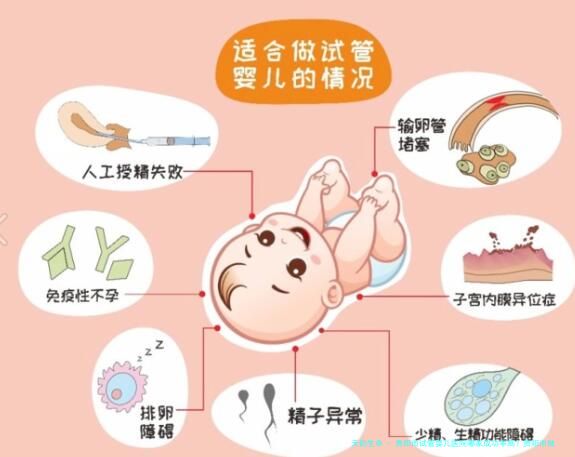 贵阳市试管婴儿医院哪家成功率高？贵阳市做试管婴儿费用多少钱？