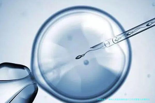 郴州人民医院南院进行三代试管婴儿的费用大约是多少？