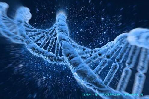 厦门三代试管费用全解析：透明收费明细，费用一目了然