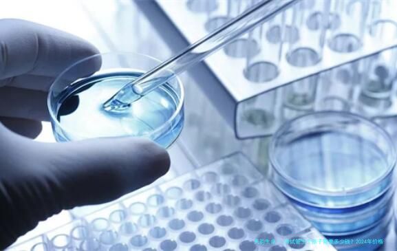 做试管生个孩子需要多少钱？2024年价格详解