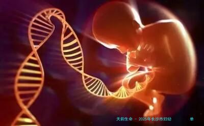 2025年长沙市妇幼         单身试管婴儿费用价目表一览！