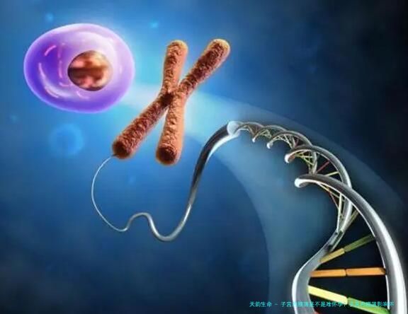 子宫内膜薄是不是难怀孕？子宫内膜薄影响怀孕？