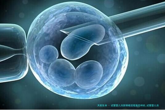 试管婴儿冻胚移植流程是怎样的_试管婴儿冻胚移植程序！