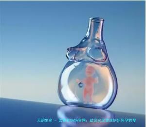 试管胖妈妈官网：助您实现健康快乐怀孕的梦想