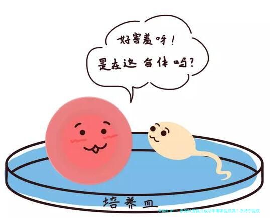 泰国试管婴儿成功率哪家医院高？杰特宁医院实力如何？