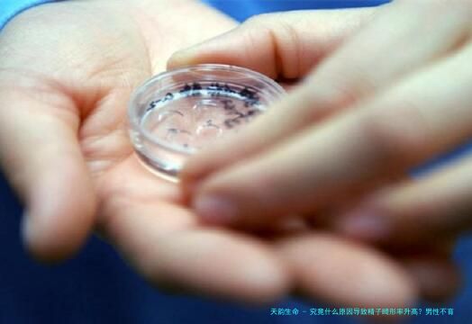 究竟什么原因导致精子畸形率升高？男性不育问题也别忽视了