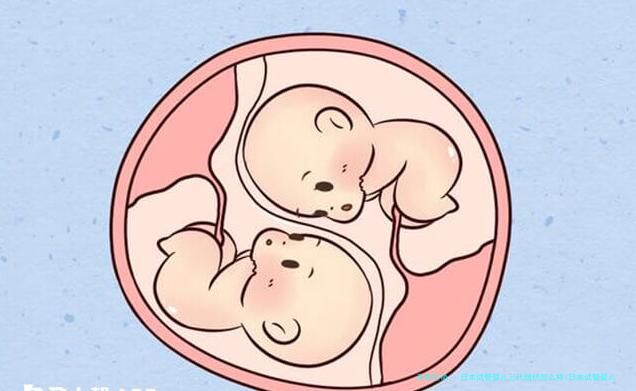 日本试管婴儿三代组织怎么样(日本试管婴儿成功率高吗)