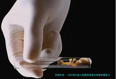 2025河北省人民医院单身女性做试管多少钱？