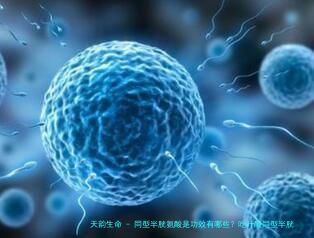 同型半胱氨酸是功效有哪些？吃叶酸同型半胱氨酸反而升高是怎么回事？