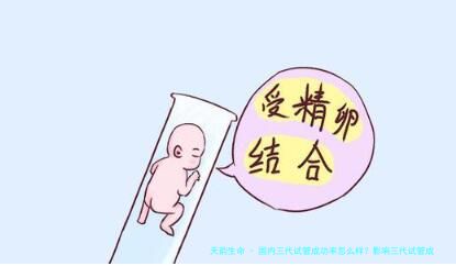 国内三代试管成功率怎么样？影响三代试管成功率的因素是什么？