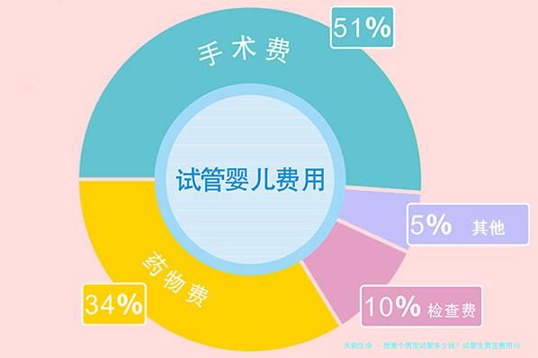 想要个男宝试管多少钱？试管生男宝费用10到20万元！