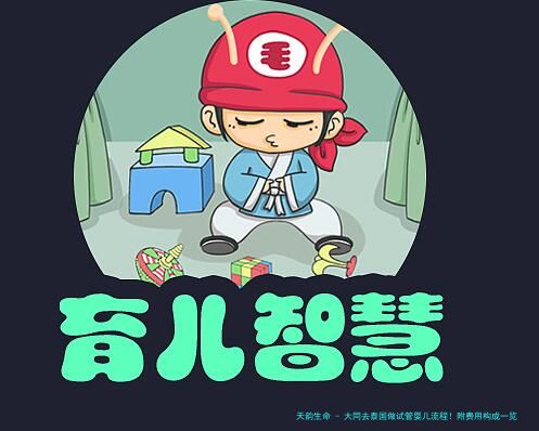 大同去泰国做试管婴儿流程！附费用构成一览！