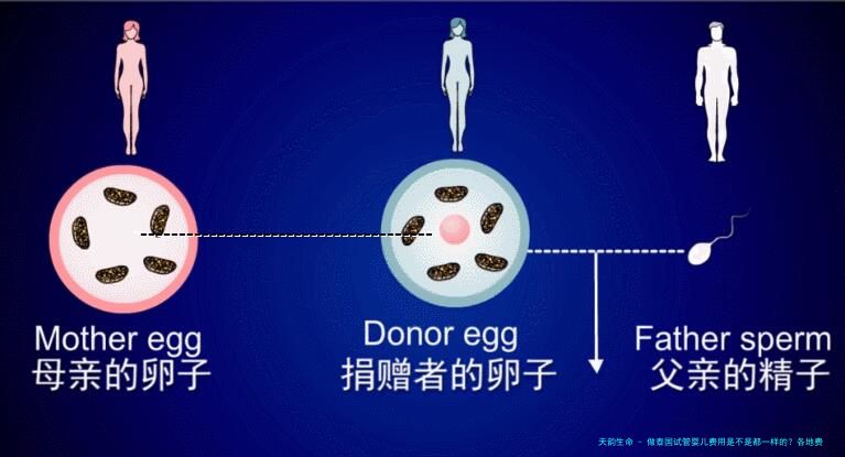 做泰国试管婴儿费用是不是都一样的？各地费用参考！
