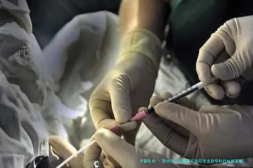 漳州出名试管婴儿医院专业助孕科技成就家庭圆满梦想