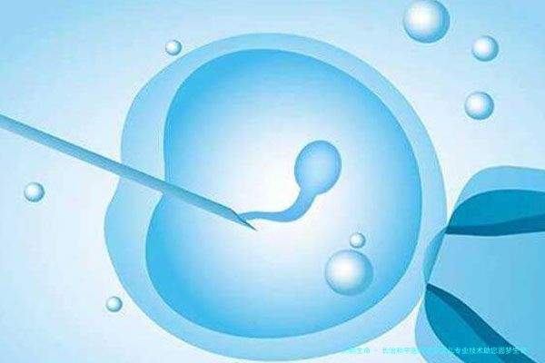 长治和平医院试管婴儿专业技术助您圆梦生育之路