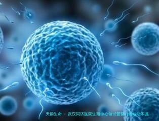武汉同济医院生殖中心做试管婴儿的成功率是多少？