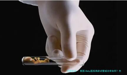 泰国iBaby医院高龄试管成功率如何？杰特宁试管费用合理吗？