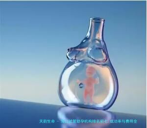 海口试管助孕机构排名前七,成功率与费用全解析!
