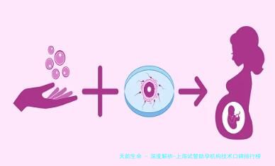 深度解析-上海试管助孕机构技术口碑排行榜单发布!