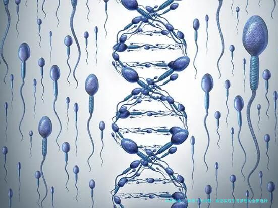 家恩三代试管：助您实现生育梦想的全新选择
