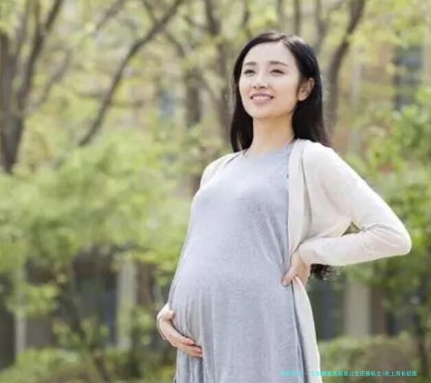上海集爱医院是公立还是私立(在上海长征医院做试管婴儿费用可以报销吗)