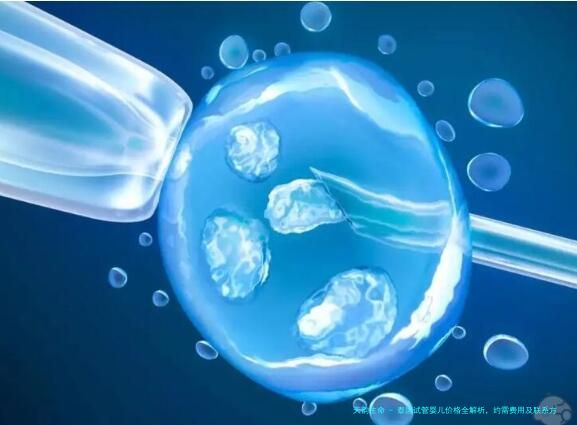 泰国试管婴儿价格全解析，约需费用及联系方式（新指南）2025版