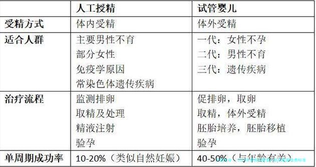 2025年泰国试管婴儿机构最新收费标准