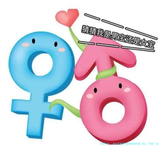 有这些情况先别急着做试管，别让“急切”误了“好孕”