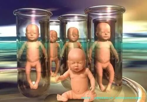 试管很受罪吗女性？助孕阶段如何科学调理减少痛苦？
