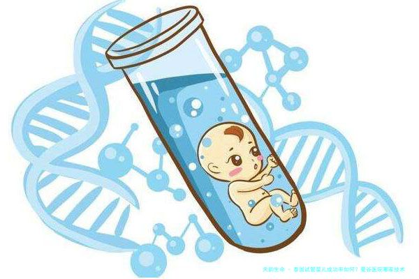泰国试管婴儿成功率如何？曼谷医院哪家技术更胜一筹？