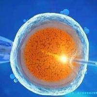 武汉单身男做试管费用高吗？武汉试管高成功率生孩子价格