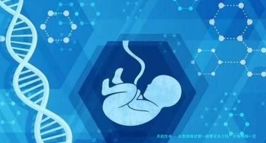 在泰国做试管一般要花多少钱？价格明细一览