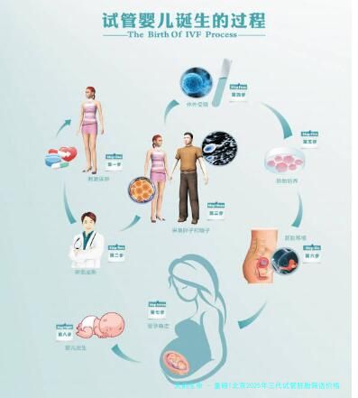 重磅!北京2025年三代试管胚胎筛选价格指南,附三甲医院成功率对比!