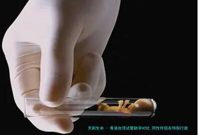 香港台湾试管助孕对比,同性伴侣在特别行政区做拉拉试管的合法流程解析!