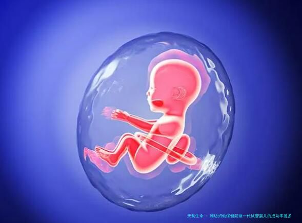 潍坊妇幼保健院做一代试管婴儿的成功率是多少？
