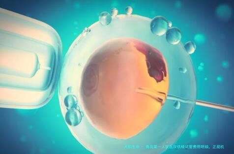 青岛第一人民医院供精试管费用明细，正规机构收费