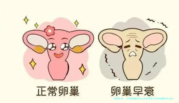 怀孕初期吃什么补充营养_怀孕初期吃什么好-试管文章