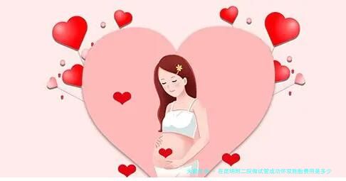 在昆明附二院做试管成功怀双胞胎费用是多少？