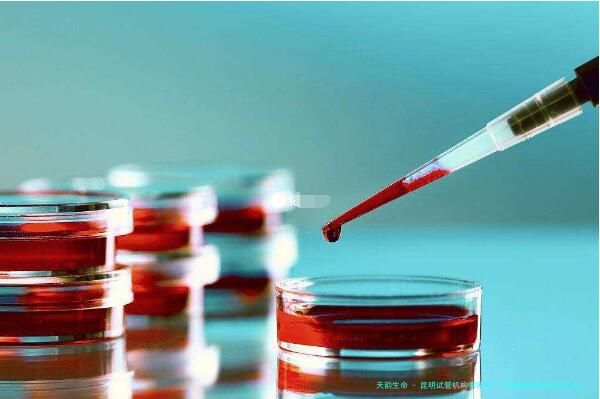 昆明试管机构哪家好？多囊卵巢患者必看的助孕技术对比指南(2025新版)