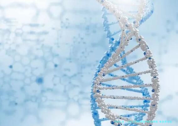 2025西安优质助孕机构推荐,单身男性保存注意事项!