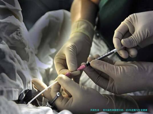 双方染色体核型分析：近5年进展与生育健康新视角