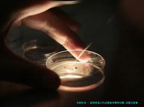 昆明单身三代试管助孕费用详解,试管注意事项与医院对比!