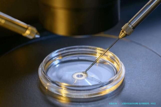 〖试管术后验孕攻略-验孕棒使用、HCG正常值,助孕成功关键点!〗