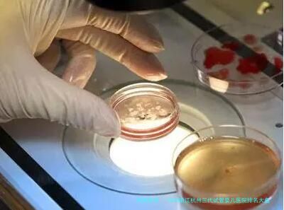 2025浙江杭州三代试管婴儿医院排名大盘点，多家有名气医院概览