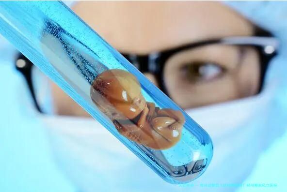 郑州试管婴儿机构哪家好？郑州哪家私立医院试管婴儿成功率比较高？